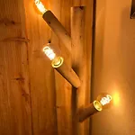 Apartment Ferienwohnung-direkt-am-skihang Mit Sauna Oberwiesenthal