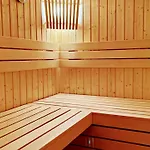 Apartment Ferienwohnung-direkt-am-skihang Mit Sauna *