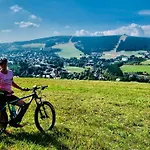 Apartment Ferienwohnung-direkt-am-skihang Mit Sauna