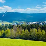 Ferienwohnung-direkt-am-skihang Mit Sauna Daire Oberwiesenthal