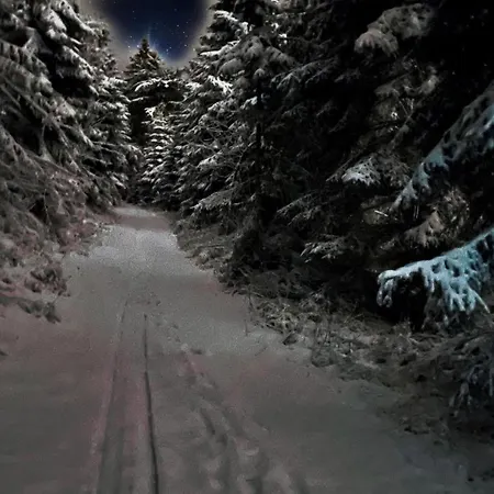 Ferienwohnung-direkt-am-skihang Mit Sauna Oberwiesenthal