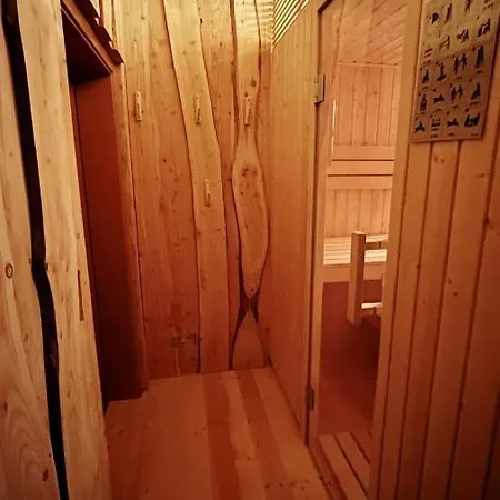 Ferienwohnung-direkt-am-skihang Mit Sauna