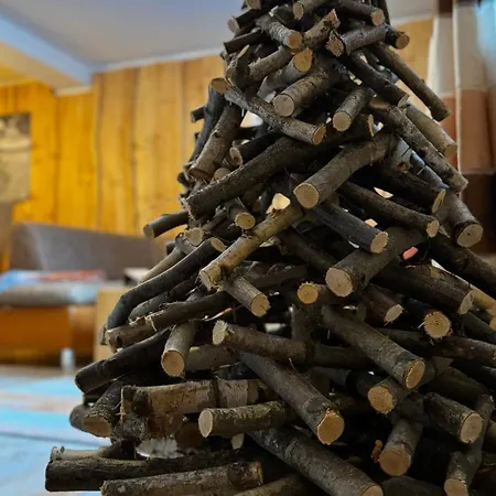 Ferienwohnung-direkt-am-skihang Mit Sauna 奥泊维森塔尔