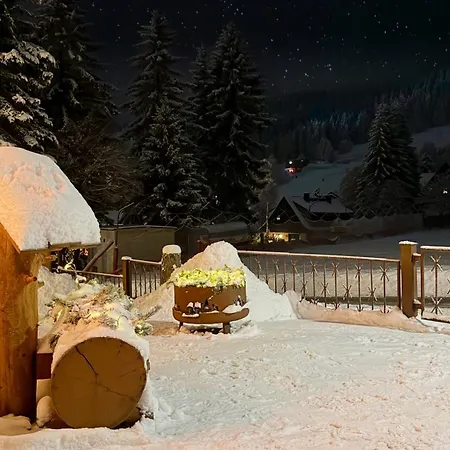 Appartement Ferienwohnung-direkt-am-skihang Mit Sauna