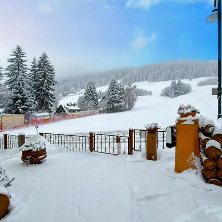 Ferienwohnung-direkt-am-skihang Mit Sauna Appartamento *