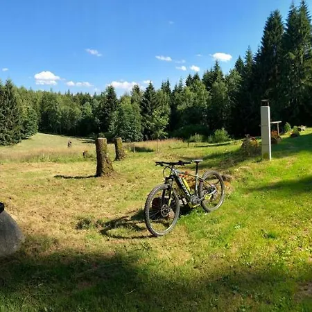 Ferienwohnung-direkt-am-skihang Mit Sauna 公寓