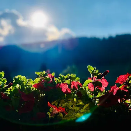 Appartement Ferienwohnung-direkt-am-skihang Mit Sauna Oberwiesenthal