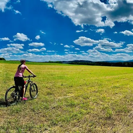 Appartement Ferienwohnung-direkt-am-skihang Mit Sauna