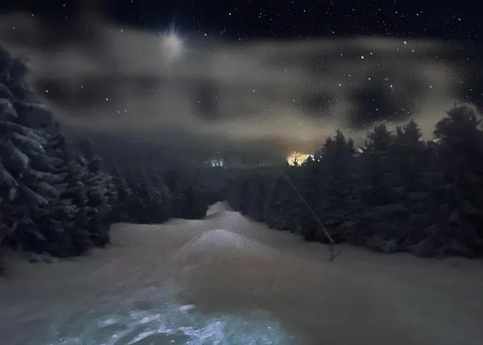 Ferienwohnung-direkt-am-skihang Mit Sauna Apartment