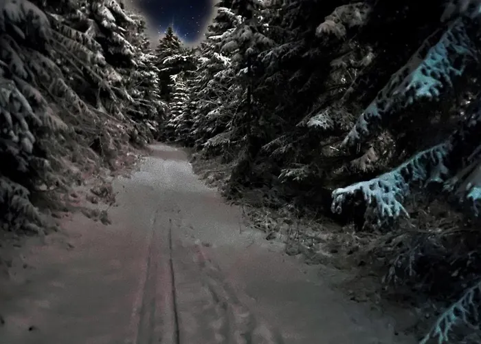 Ferienwohnung-direkt-am-skihang Mit Sauna Oberwiesenthal