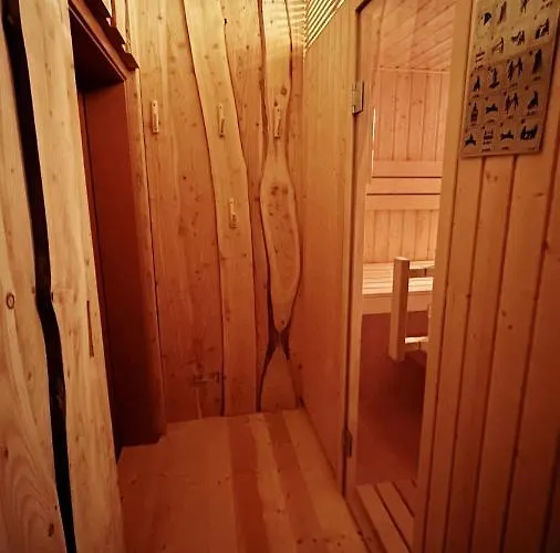 Ferienwohnung-direkt-am-skihang Mit Sauna