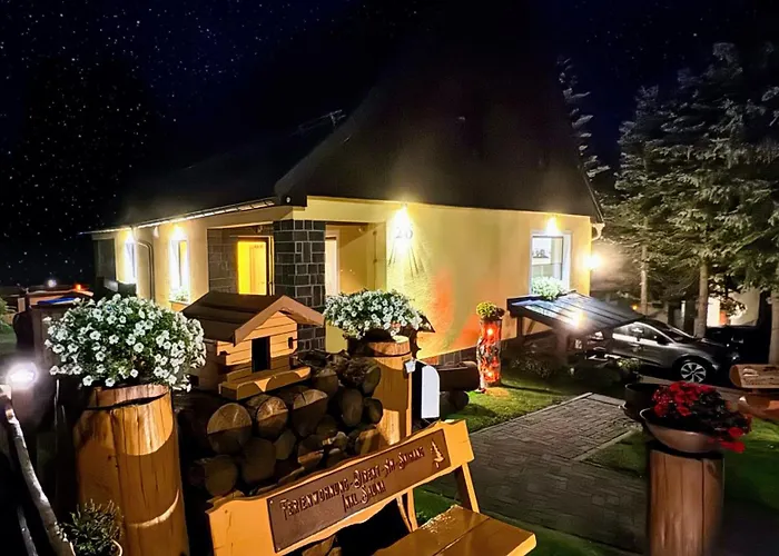 Ferienwohnung-direkt-am-skihang Mit Sauna Appartement