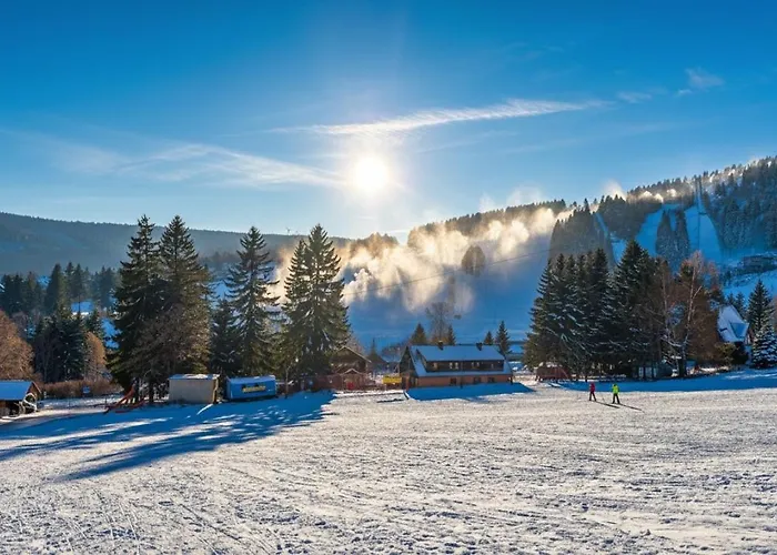 Ferienwohnung-direkt-am-skihang Mit Sauna Apartment