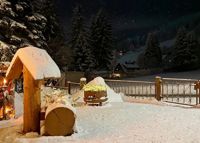 Apartment Ferienwohnung-direkt-am-skihang Mit Sauna