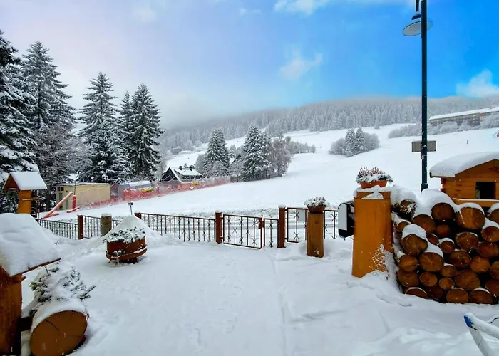 Ferienwohnung-direkt-am-skihang Mit Sauna Apartment *