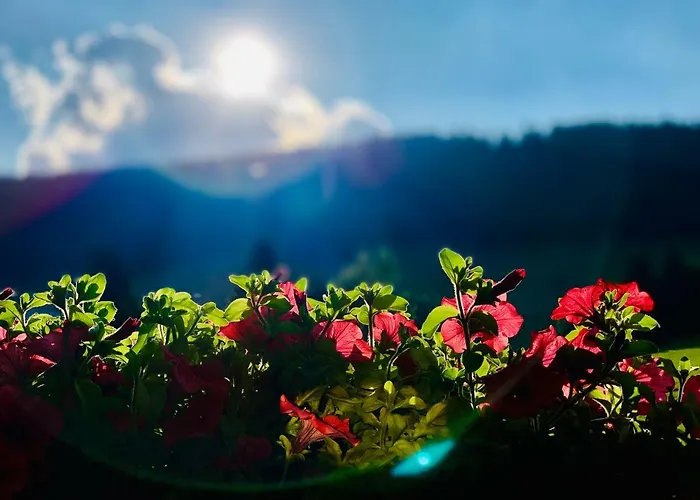 Apartment Ferienwohnung-direkt-am-skihang Mit Sauna Oberwiesenthal