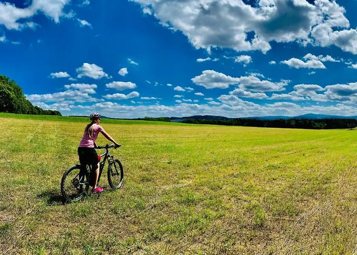 Apartment Ferienwohnung-direkt-am-skihang Mit Sauna
