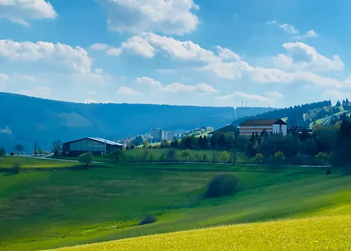 Apartment Ferienwohnung-direkt-am-skihang Mit Sauna *